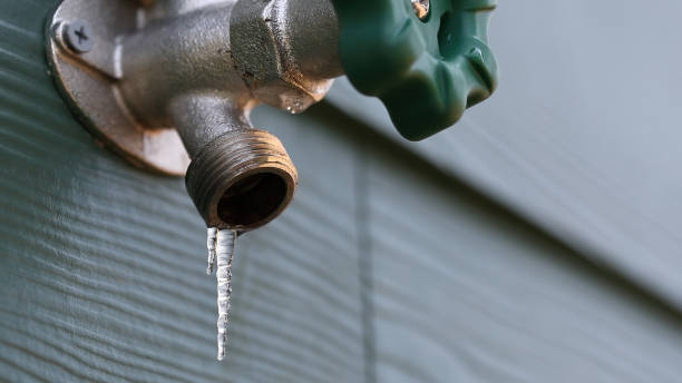 Best Plumbing Services Near Me  in Centerville, UT
